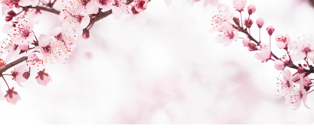 Oriental Wisdom Header